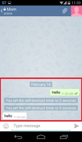 telegram secret chat 8